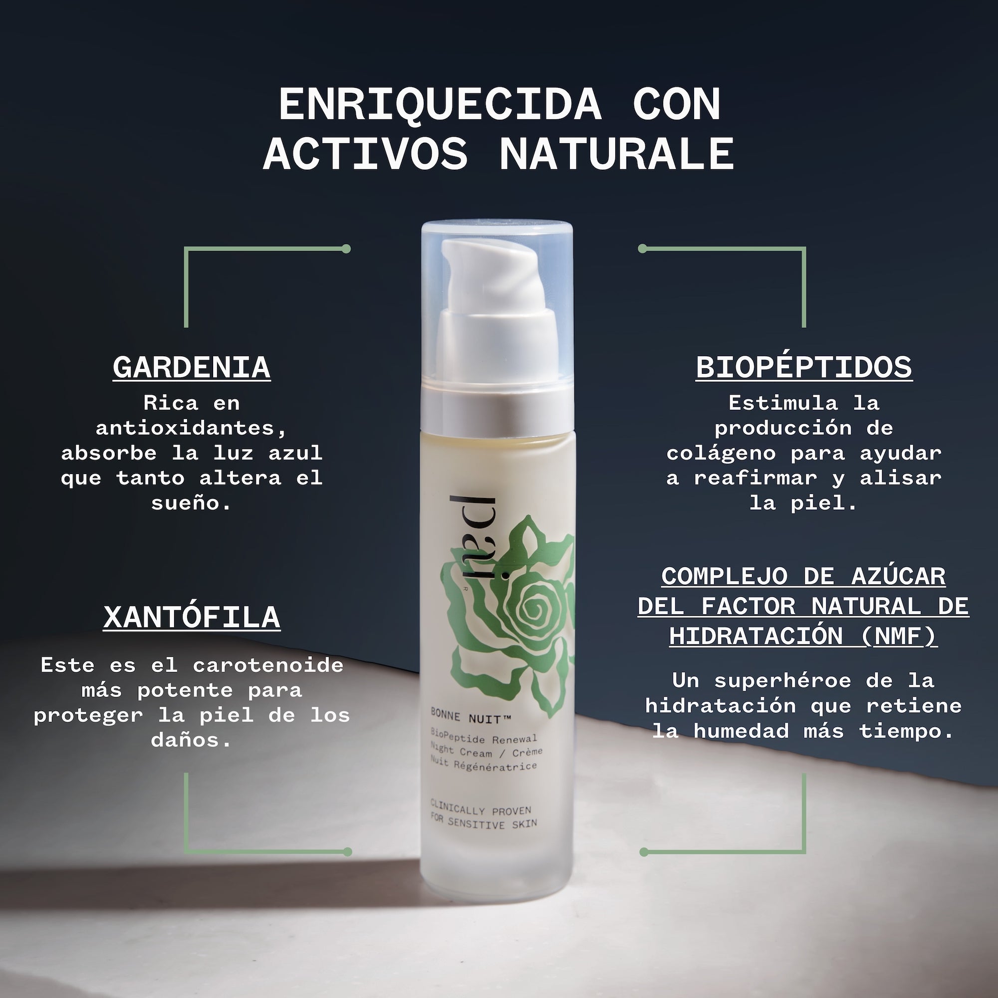 Bonne Nuit con propiedades destacadas, una fórmula intensiva para despertar con la piel renovada.