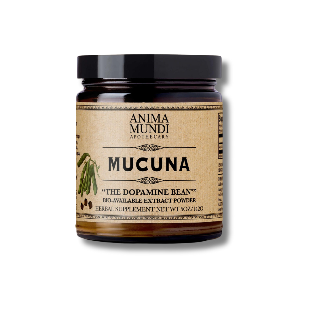 Mucuna de Anima Mundi, polvo adaptógeno tostado con L-Dopa natural para apoyar el sistema nervioso y elevar el estado de ánimo.