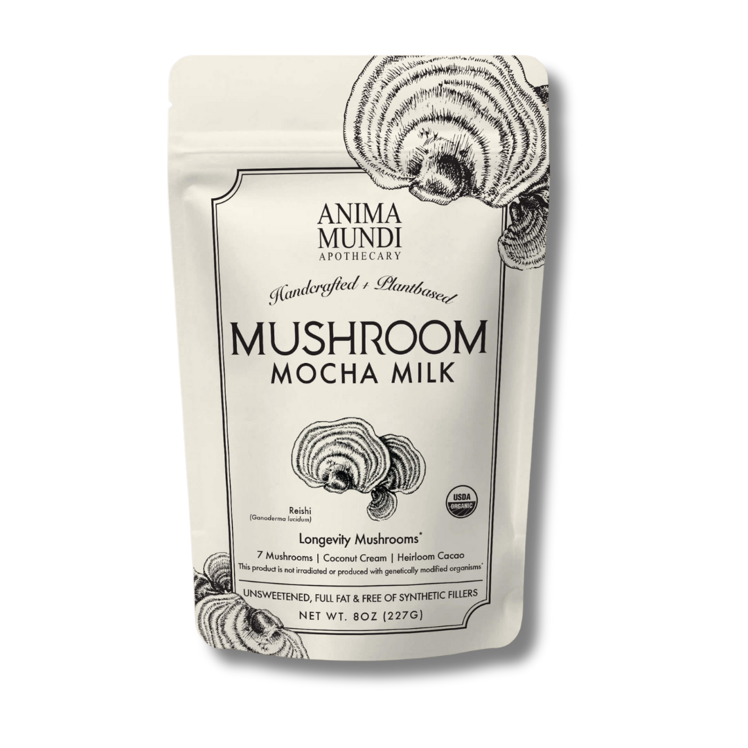 Mushroom Mocha Milk de Anima Mundi, mezcla en polvo con cacao y adaptógenos para bebidas funcionales sin azúcar.
