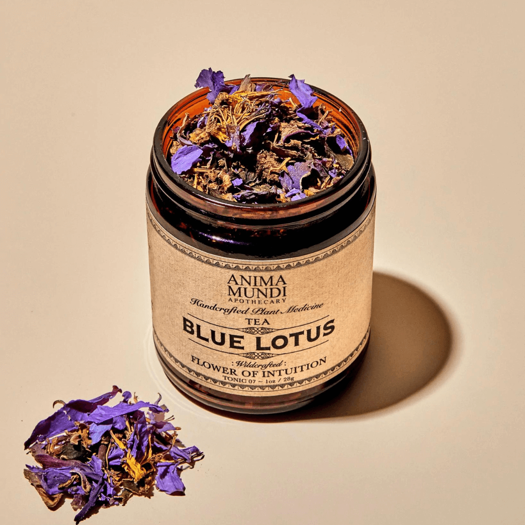 Pétalos de loto azul junto a tarro abierto de Blue Lotus Tea. Infusión suave para introspección y conexión emocional.