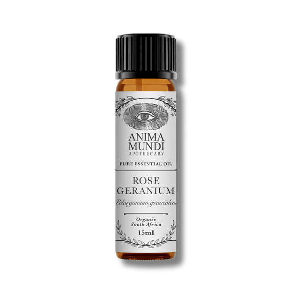 Rose Geranium Essential Oil - Aceite esencial de Geranio