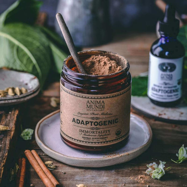 Adaptogenic Powder: 7 Mushrooms + Heirloom Cacao - Anima Mundi Herbals