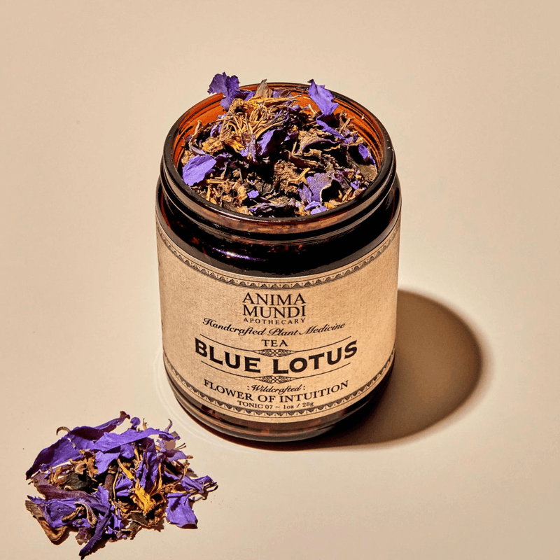 Blue Lotus Tea – La Crème Organics