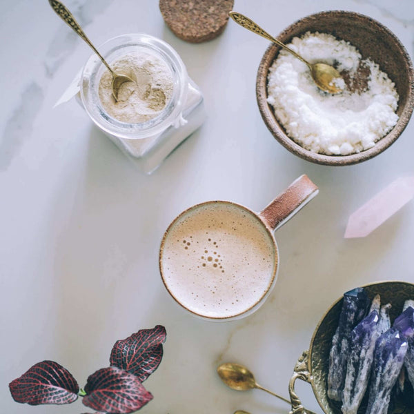 Coconut Cream Powder 100% Organic - Crema de coco en polvo - Anima Mundi Herbals